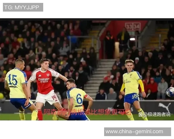 裁判承认误判致阿森纳进球无效赛后公开致歉引发热议